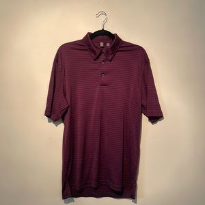 Ashworth Golf Polo